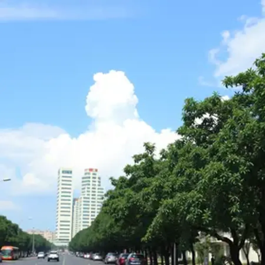 Processo seletivo da Prefeitura de Manaus (AM) está com inscrições abertas