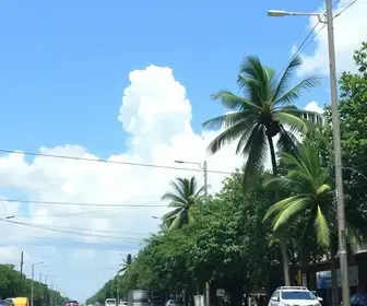 Sine Manaus oferta 618 vagas de emprego nesta sexta