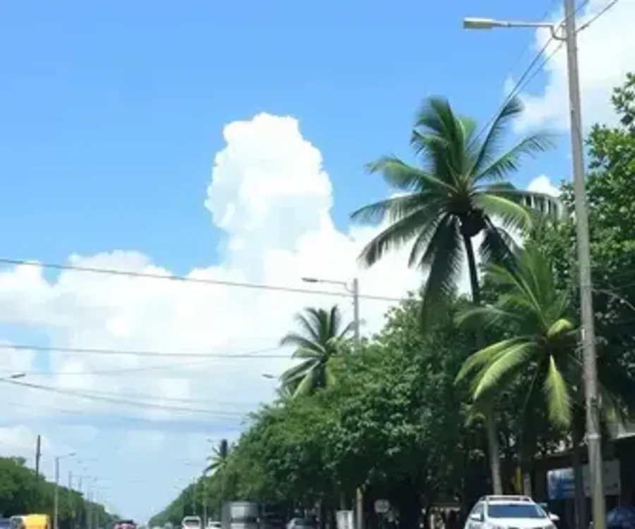 Sine Manaus oferta 618 vagas de emprego nesta sexta