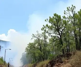 Prefeitura intensifica ações ambientais em combate às queimadas