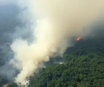 FOTOS: Fumaça encobre cidades e queimadas deixam rastro de destruição no Amazonas; veja registros